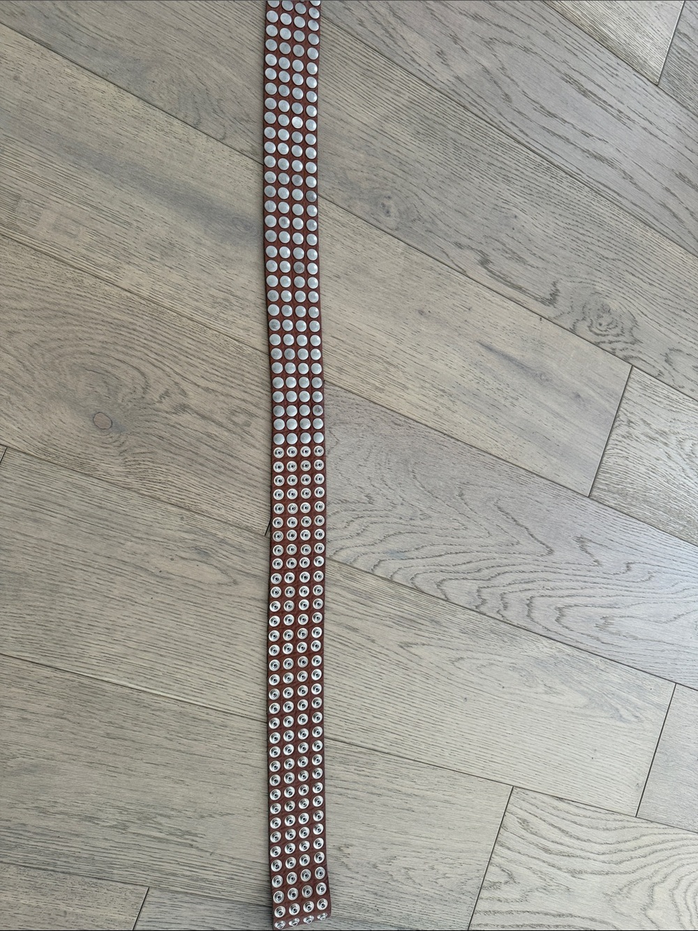 Studded Brown Leather Belt with Silver Grommets